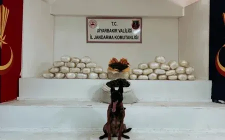 Diyarbakır Lice’de Dev Narkotik Operasyonu: 555 Kilo Uyuşturucu Ele Geçirildi