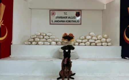 Diyarbakır Lice’de Dev Narkotik Operasyonu: 555 Kilo Uyuşturucu Ele Geçirildi