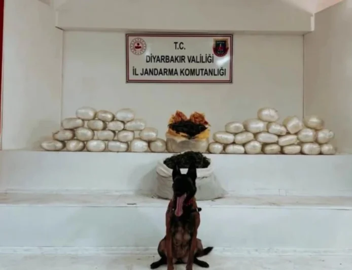 Diyarbakır Lice’de Dev Narkotik Operasyonu: 555 Kilo Uyuşturucu Ele Geçirildi