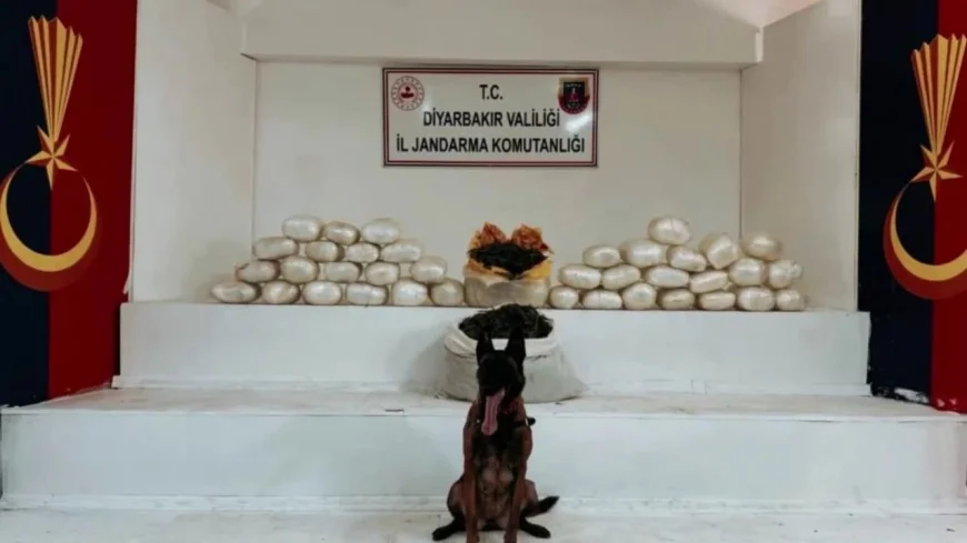 Diyarbakır Lice’de Dev Narkotik Operasyonu: 555 Kilo Uyuşturucu Ele Geçirildi